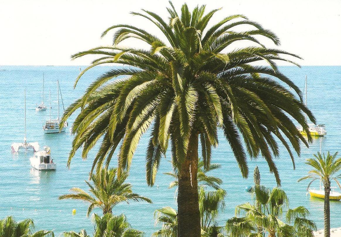 Studio Climatise. Proche Parking, Commerces Et Mer Apartment Carqueiranne Exterior photo